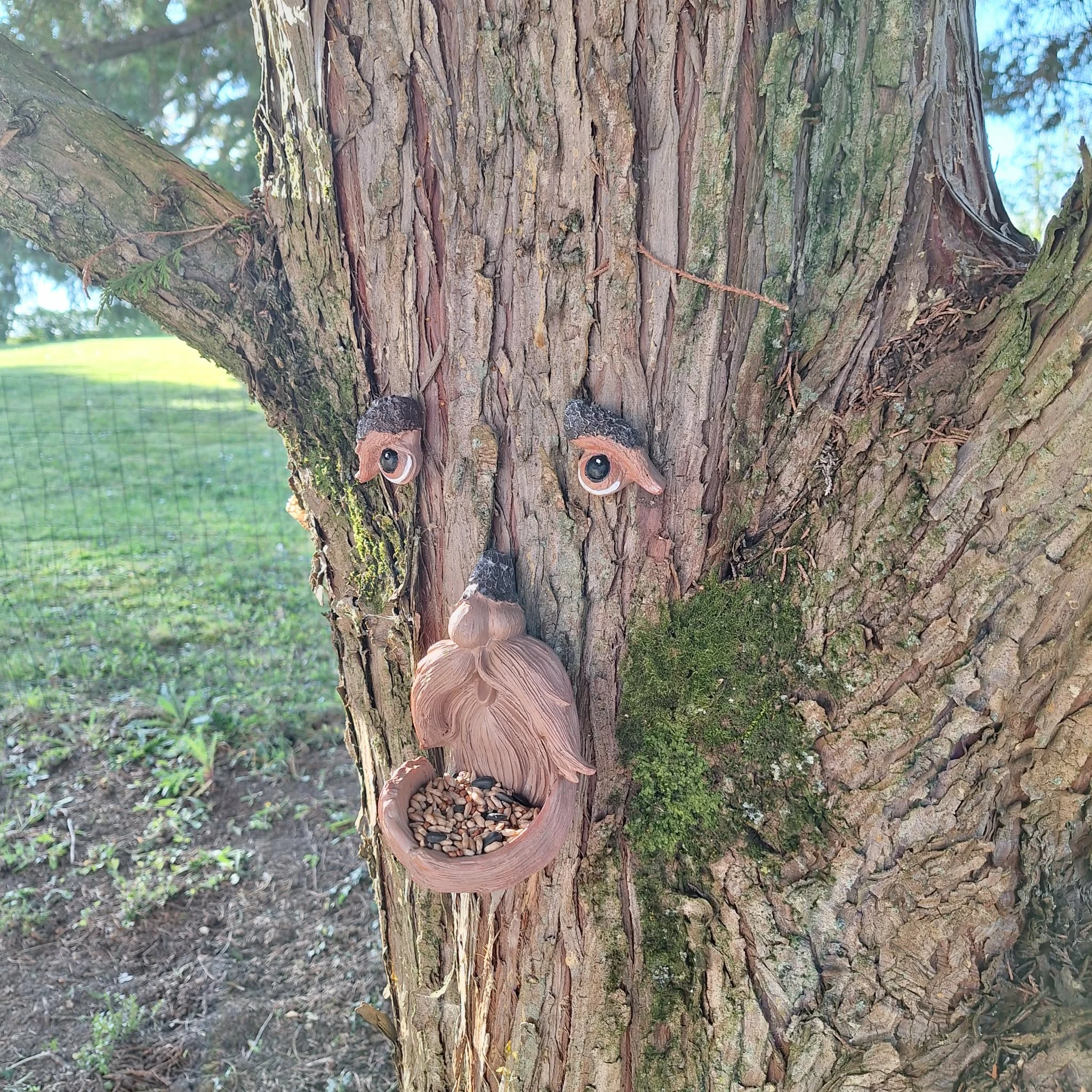 Vogelvoeder voor betoverde bomen – photo 13